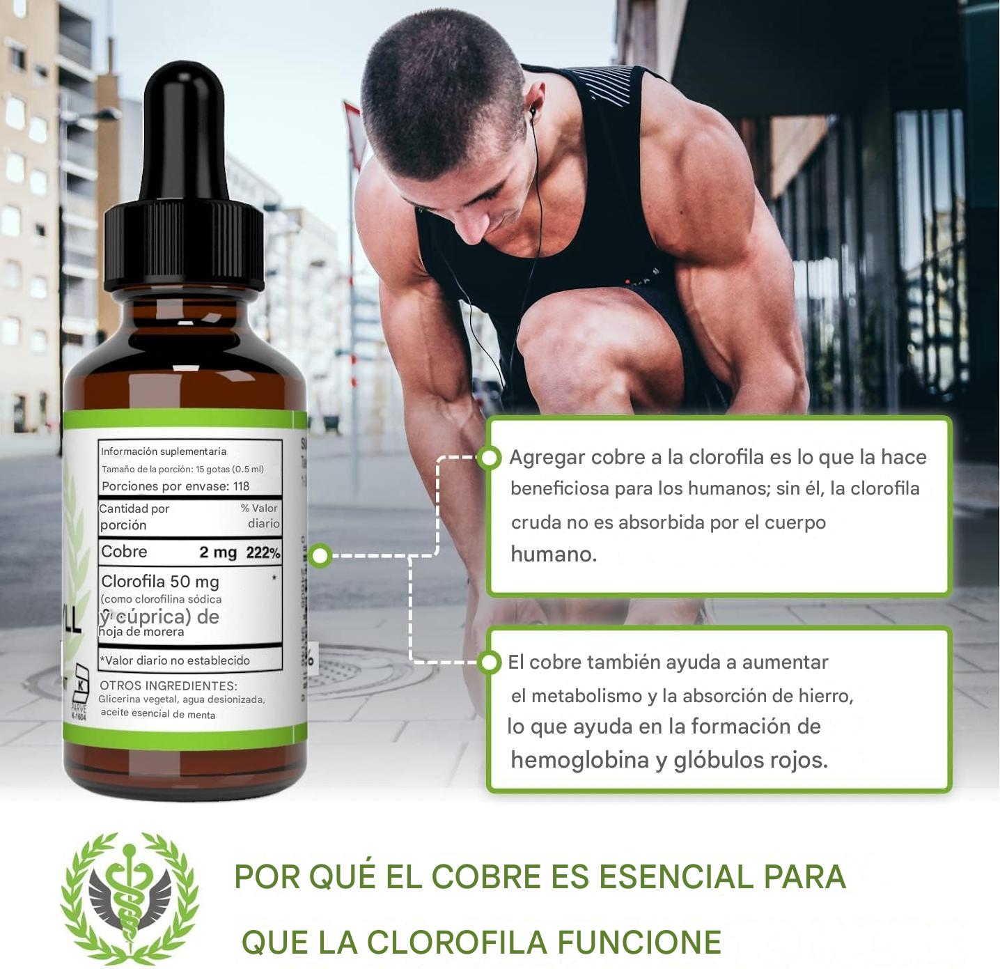 🌿 Clorofila líquida: energía natural, cuerpo fresco y defensas altas