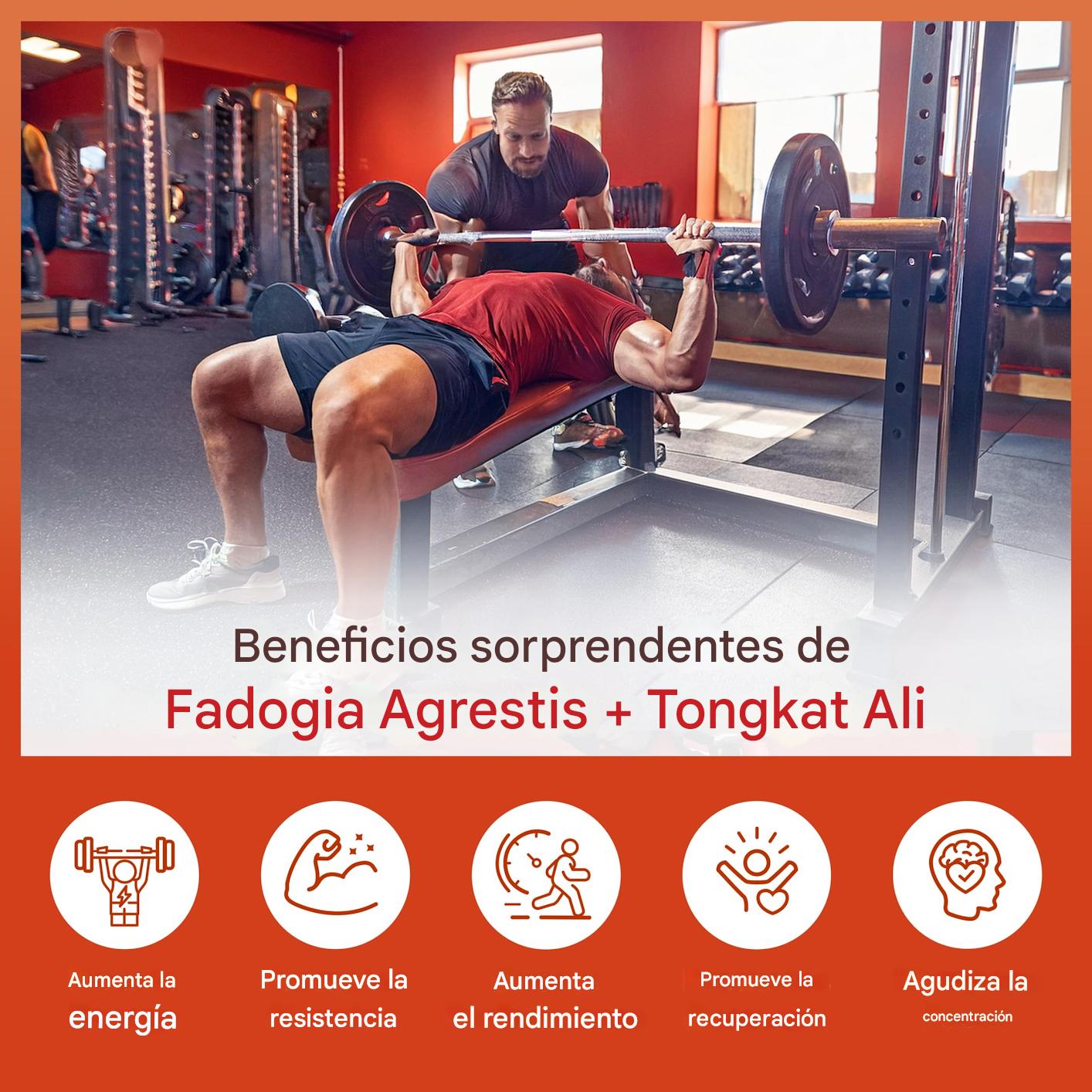 🔥 Recarga tu potencia natural con Tongkat Ali + Fadogia