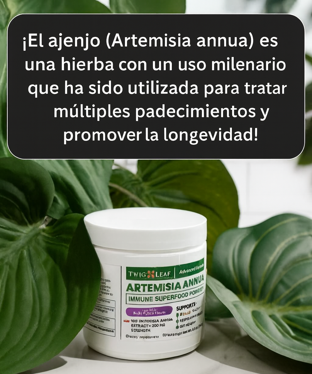 Refuerza tus defensas de forma natural con Artemisia annua