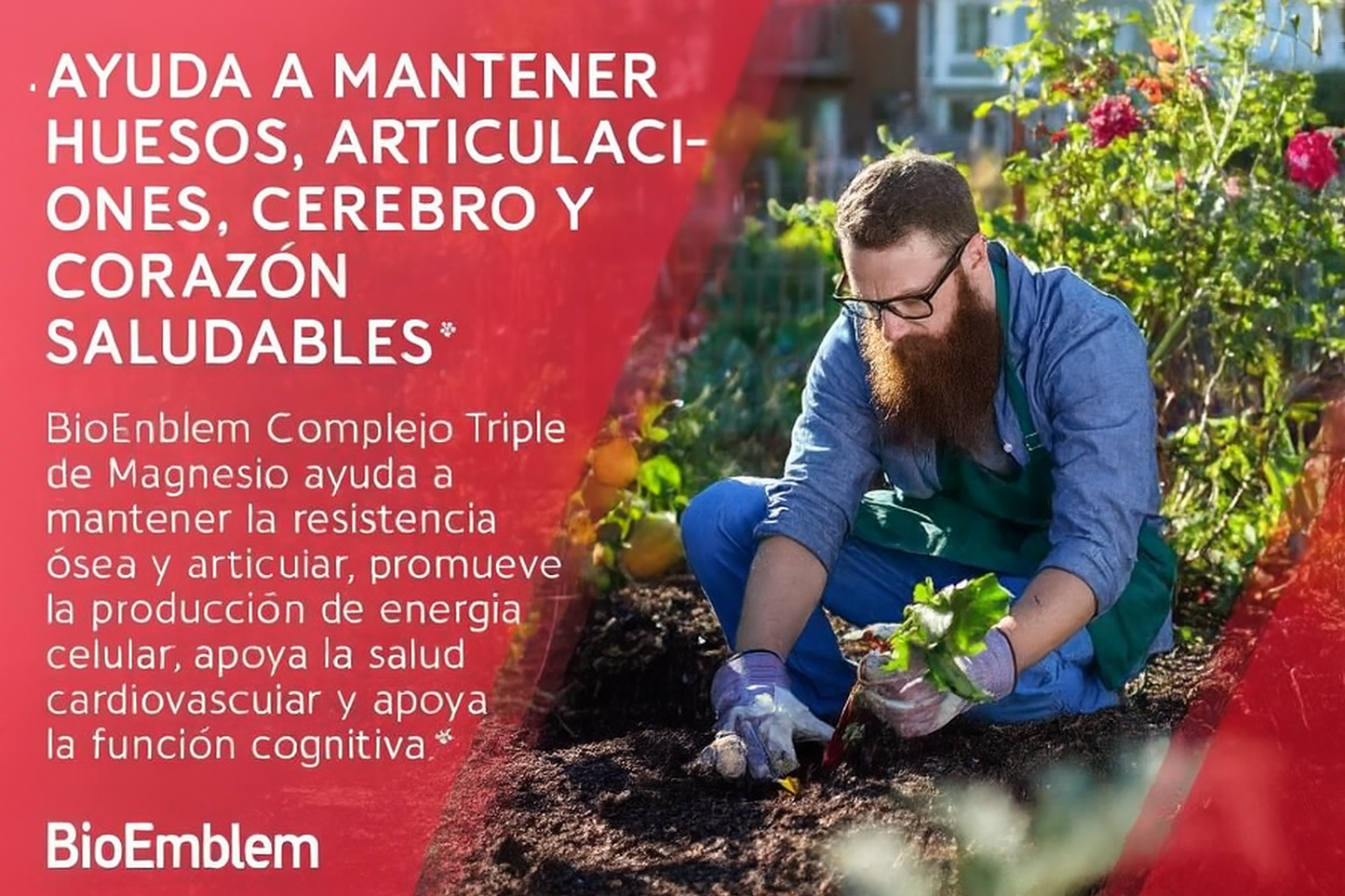 💤 Descansa mejor, vive con más energía