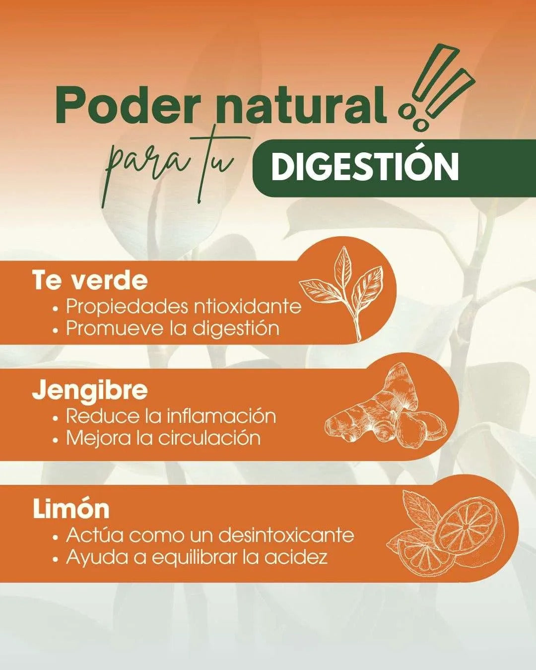 ✨ Di adiós al reflujo y la gastritis con Liteplex