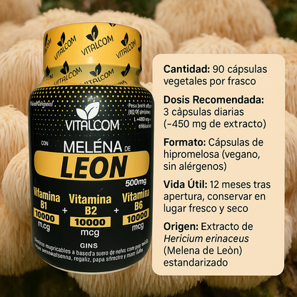 🦁 Enfócate. Recuerda. Rinde al máximo.