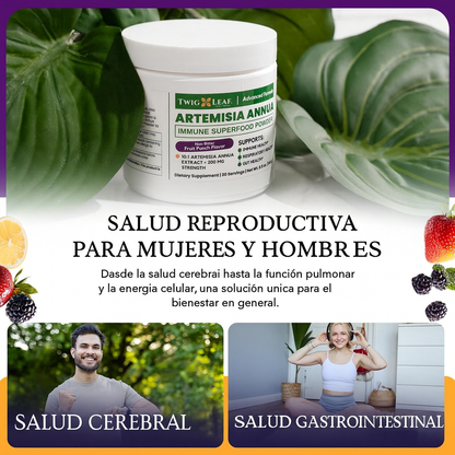 Refuerza tus defensas de forma natural con Artemisia annua