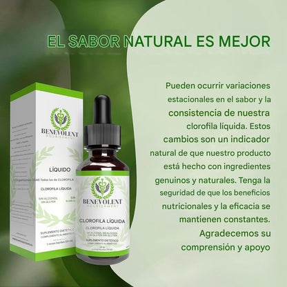 🌿 Clorofila líquida: energía natural, cuerpo fresco y defensas altas